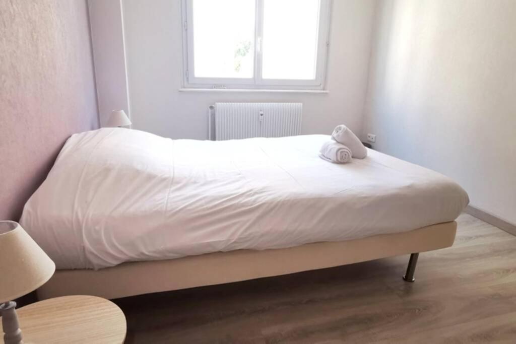 Appartement F2 Cosy Proche Centre Strasbourg Kültér fotó